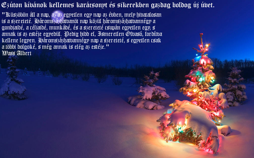 Click image for larger version

Name:	holidaylights22.jpg
Views:	1
Size:	133.2 KB
ID:	129539