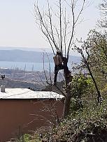 Click image for larger version

Name:	IMG-20200409-WA0005.jpg
Views:	237
Size:	245.2 KB
ID:	222450