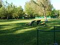 Click image for larger version

Name:	DSC01317.jpg
Views:	233
Size:	129.2 KB
ID:	131182